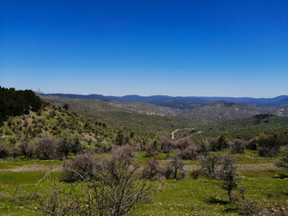 Fototapeta premium landscape with sky