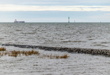 gulls and waterfowl on a breakwater on the north sea beach wadden sea cuxhaven