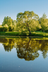 Fototapeta na wymiar Beautiful summer public park on the sunshine. The shadow of the trees on a sunny day. Trees are reflected in the calm water. Nature summer landscape. 