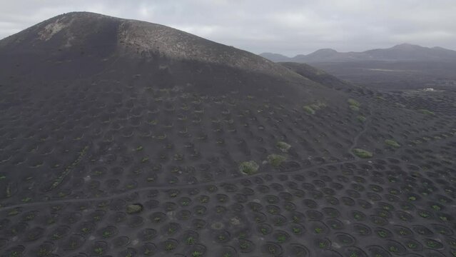 La Geria 