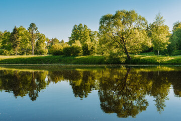 Beautiful summer public park on the sunshine. The shadow of the trees on a sunny day. Trees are reflected in the calm water. Nature summer landscape. 