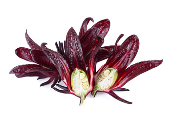 roselle hibiscus on white background © wealthy lady