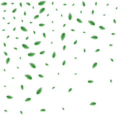 Green Sheet Background White Vector. Foliage Selective Design. Template Texture. Greenish Modern Card. Leaves Falling.