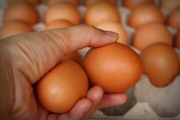 Chicken eggs are nutritious and can be used in a variety of dishes, when inflation makes eggs expensive.