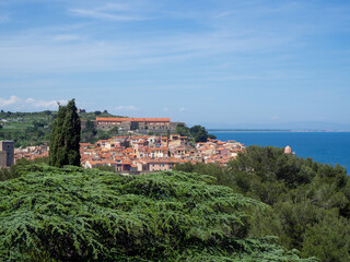 Fototapeta na wymiar Vue sur Collioure, Pyrénées-Orientales, Occitanie, France