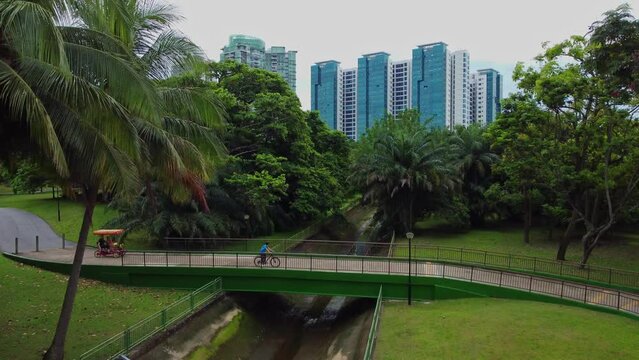 Cyclists In The Singapore Jungle Park