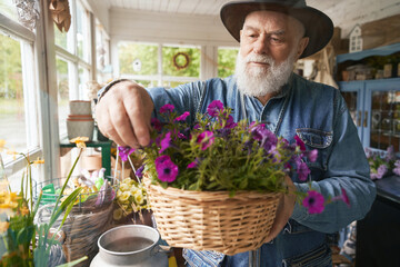 Senior man with grizzled beard looking after pot plants