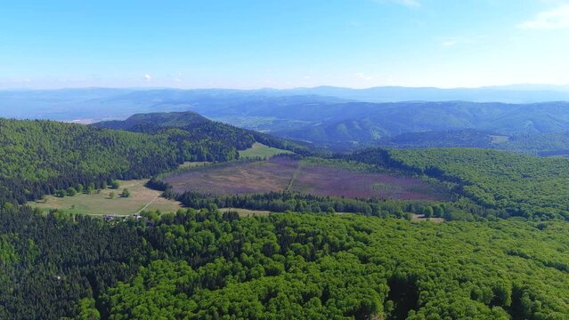 Mohos peat bog one of the most important botanic nature reserves in Romania, drone view