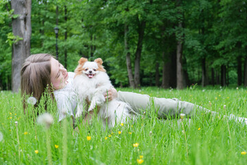 Naklejka na ściany i meble Young woman with long hair lies on the lawn in the park with a Pomeranian dog. Funny fluffy dog with white fur and red ears stuck out his tongue. Woman looking at dog with tenderness