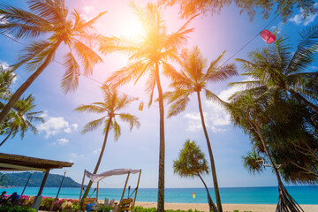 Amazing tropical paradise beach with swimming pools and coconut palms