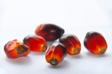 Palm seed on white background. Copy space and food concept