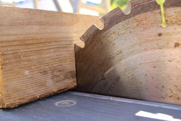 Ein Stück Bauholz liegt am Sägeblatt einer Kreissäge an