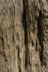 Texture of stone eroded by water over the years.