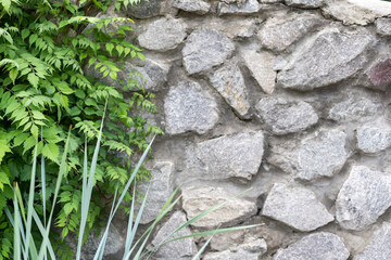 tropical plants and stone wall background.