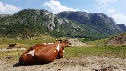 Hiking Storaberget, Norway