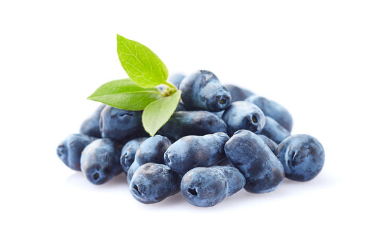 Honeysuckle berries on white background
