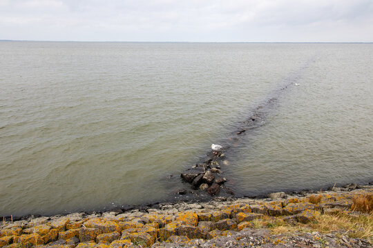 Die M&ouml;we auf dem Wellenbrecher