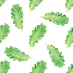 Watercolor lettuce leaves seamless pattern on white background