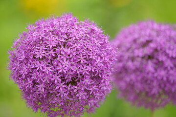 Hope you enjoy this beautiful spring season