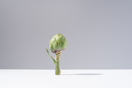 Una alcachofa cruda en pie sobre una mesa blanca y fondo gris. Minimalista