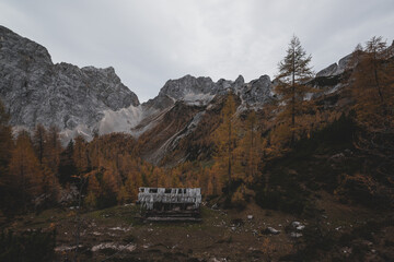 Fototapeta premium Beautiful autumn scenery in the mountains of Julian Alps in Slovenia.