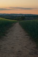 a dirt road between two fields. A pastel-coloured sky, the dirt path leads the eye towards the forest. Two cereal fields of different shades of green are on each side of the trail.