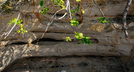 stone wall background