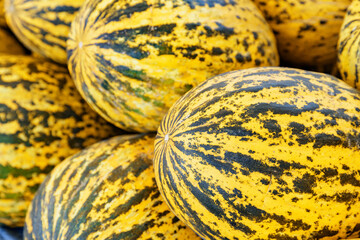 Closeup view of fresh melons. Good harvest of cucumis melo