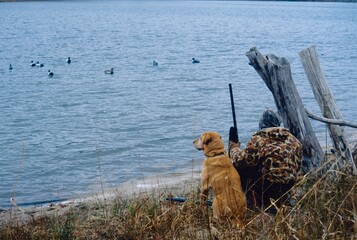 A hunter and Lab wait for ducks
