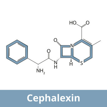 Chemical structure of cephalexin (cefalexin). It is an antibiotic that can treat some bacterial infections. It kills gram-positive and gram-negative bacteria by disrupting the growth of the cell walls