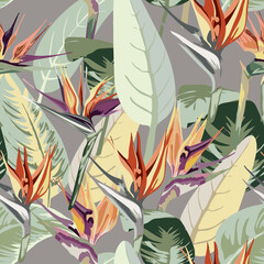 734_Strelitzia strelitzia, tropical exotic plant seamless pattern, package design, paper, wallpaper, leaves, flowers