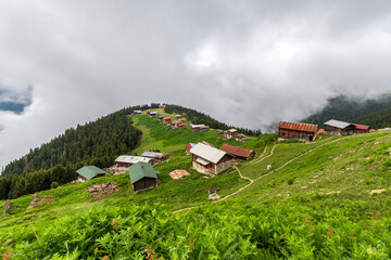 Pokut Plateau view in fogy day at Rize Province of Turkey
