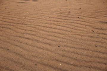 wavy sand beach sea background texture desert