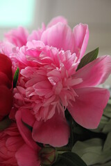 a mystery woman in long black dress in the wood