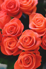 Salmon color rose bouquet