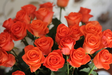 Salmon color rose bouquet