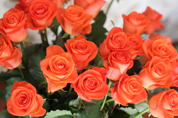 Salmon color rose bouquet