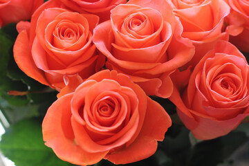 Salmon color rose bouquet, bouquet of red roses