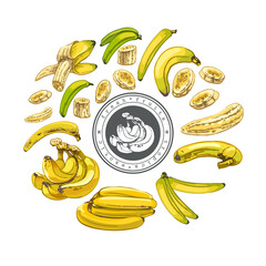 758_banana bananas, a bunch of ripe fruits on a white background from different angles, whole, slices cartoon bananas, banana peel, yellow fruits and bunch of bananas, tropical fruits, banana snacks o