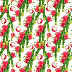 721_dragon fruit plant_dragon fruit seamless pattern of tropical plants, leaves pitaya cactus, exotic vector pattern, Dragon Fruit, Hylocereus, Pitahaya, Pitahaya, Hand drawn pitahaya stem illustratio