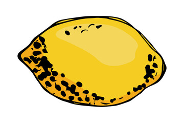 Vector lemon clipart. Hand drawn citrus icon. Fruit illustration. For print, web, design, decor, logo.