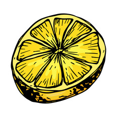 Vector lemon clipart. Hand drawn citrus icon. Fruit illustration. For print, web, design, decor, logo.
