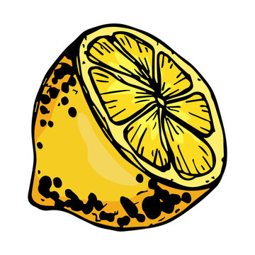 Vector Lemon Clipart. Hand Drawn Citrus Icon. Fruit Illustration. For Print, Web, Design, Decor, Logo.