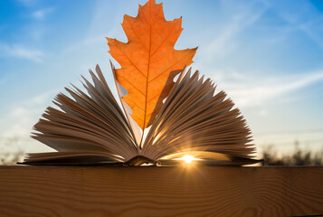 open book with a bright orange autumn oak leaf against the blue sky. The sun breaks through the pages. Backlight. Educational concept. Hello, Autumn. book lovers