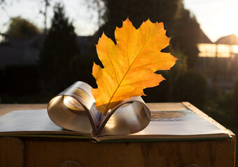 heart made from pages of book against backdrop of setting sun and a bright yellow fallen oak leaf. A book on a wooden table on a sunny autumn day. The concept of reading and knowledge. Hello October