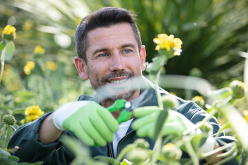 farmer cut flowers with pliers in garden
