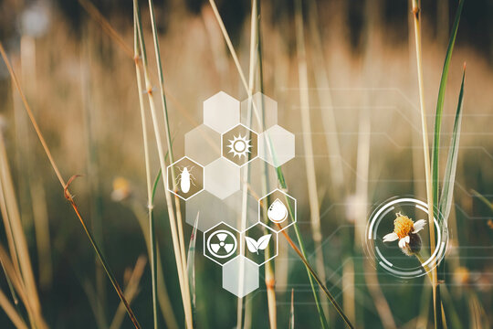 blured nature background with Concept of smart agriculture and modern technology. Environmental, sustainable energy sources