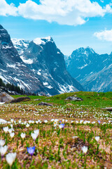 Fototapeta premium Hauteur de Pralognan la Vanoise 