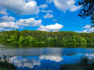 a gorgeous summer landscape at Lake Acworth with rippling blue lake water surrounded by lush green...