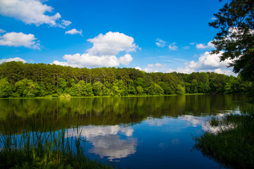 Fototapeta na wymiar a gorgeous summer landscape at Lake Acworth with rippling blue lake water surrounded by lush green trees with blue sky and clouds reflecting off the water at South Shore Park in Acworth Georgia USA